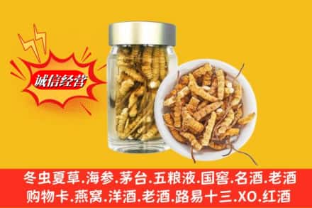 河池市宜州求购回收散虫草
