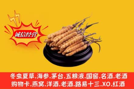 河池市宜州回收虫草多少钱每克